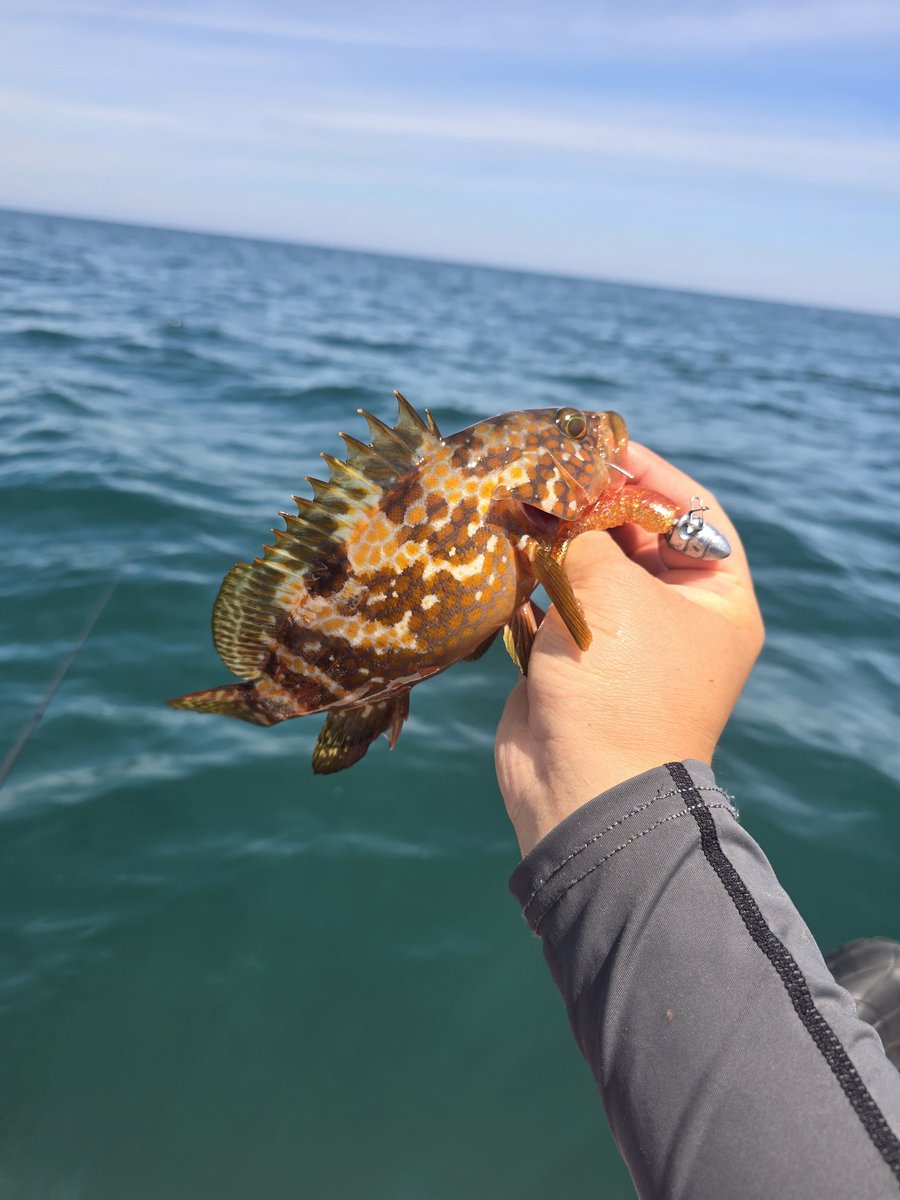 ひとりの釣り人 (@1091fishing1091) / Posts / X