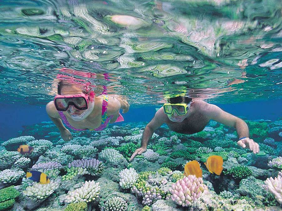 Cubatravel_es's tweet photo. ✨Si te encanta el mar, el buceo en Cuba te va a enamorar. Aguas claras, peces de colores y un ambiente tranquilo para disfrutar cada inmersión. 😎📲 https://t.co/qKryE3A9LV

#CubaMágica #CubaUnica #CubaTravel https://t.co/IE37m5qg8s