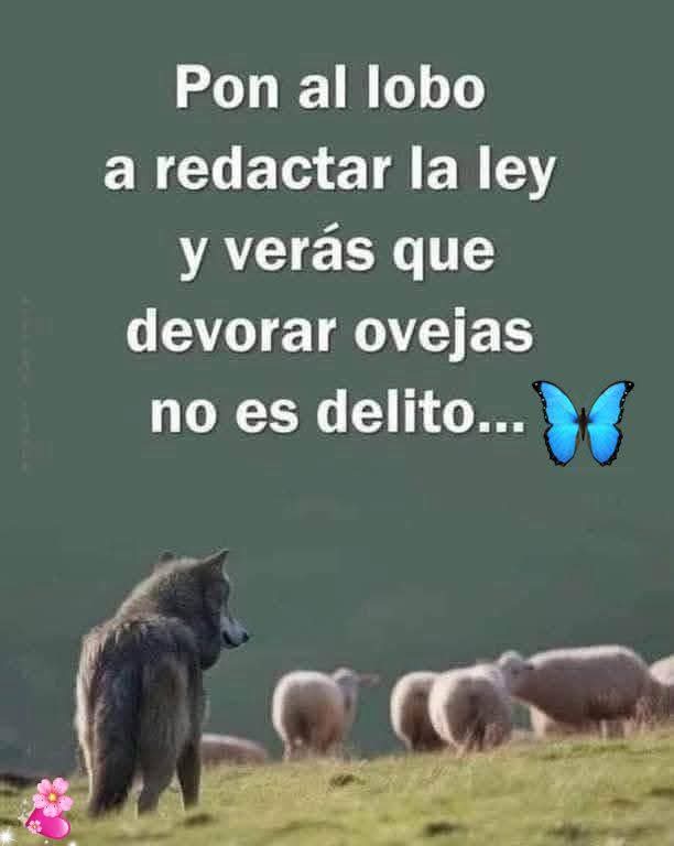 Dorita Fernández tweet media