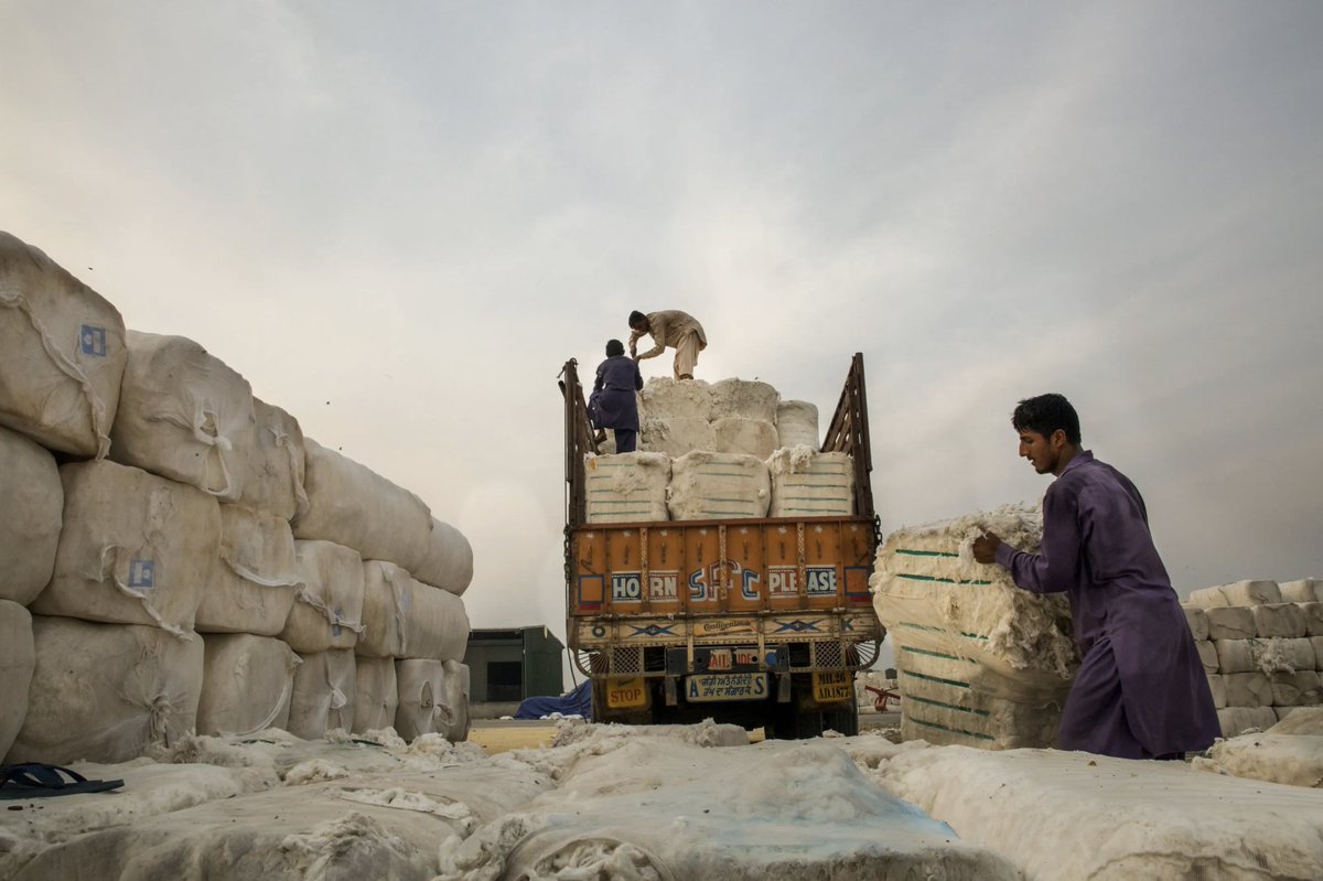 AdbPartnerships's tweet photo. A technical assistance (TA) is set to support CAREC countries in implementing the CAREC Integrated Trade Agenda (CITA) 2030. The program will strengthen institutional capacity, expand market access, and drive economic diversification. https://t.co/gJZ0IUK6vO @Carecprogram https://t.co/plD86uUvEy
