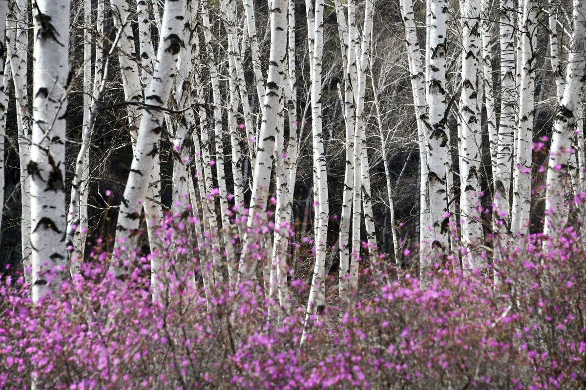 RusEmbMNG tweet picture