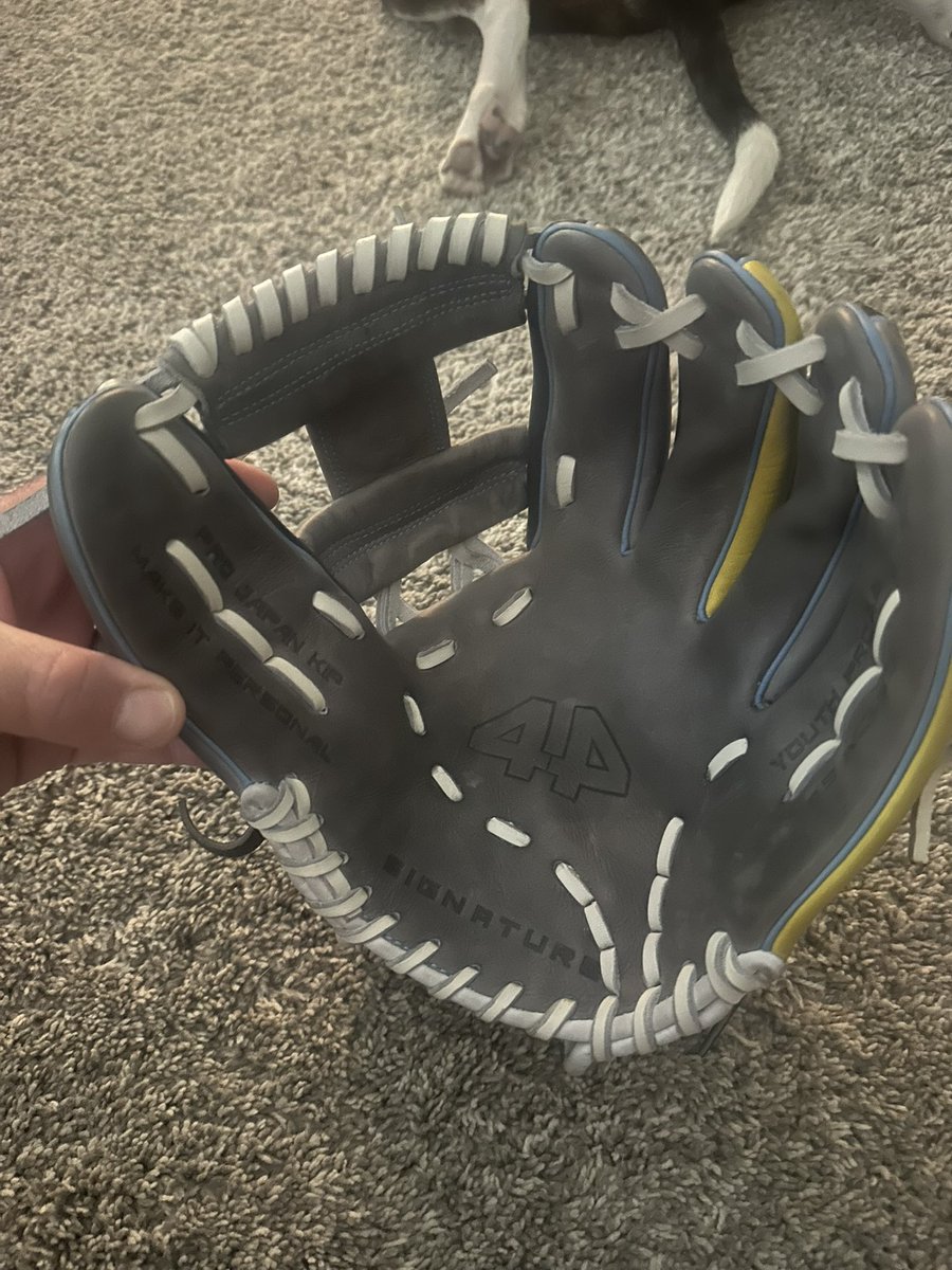 kochie7's tweet photo. @ballgloveking my son wants you to rate his glove @44ProCustom https://t.co/twNwKhwTkN