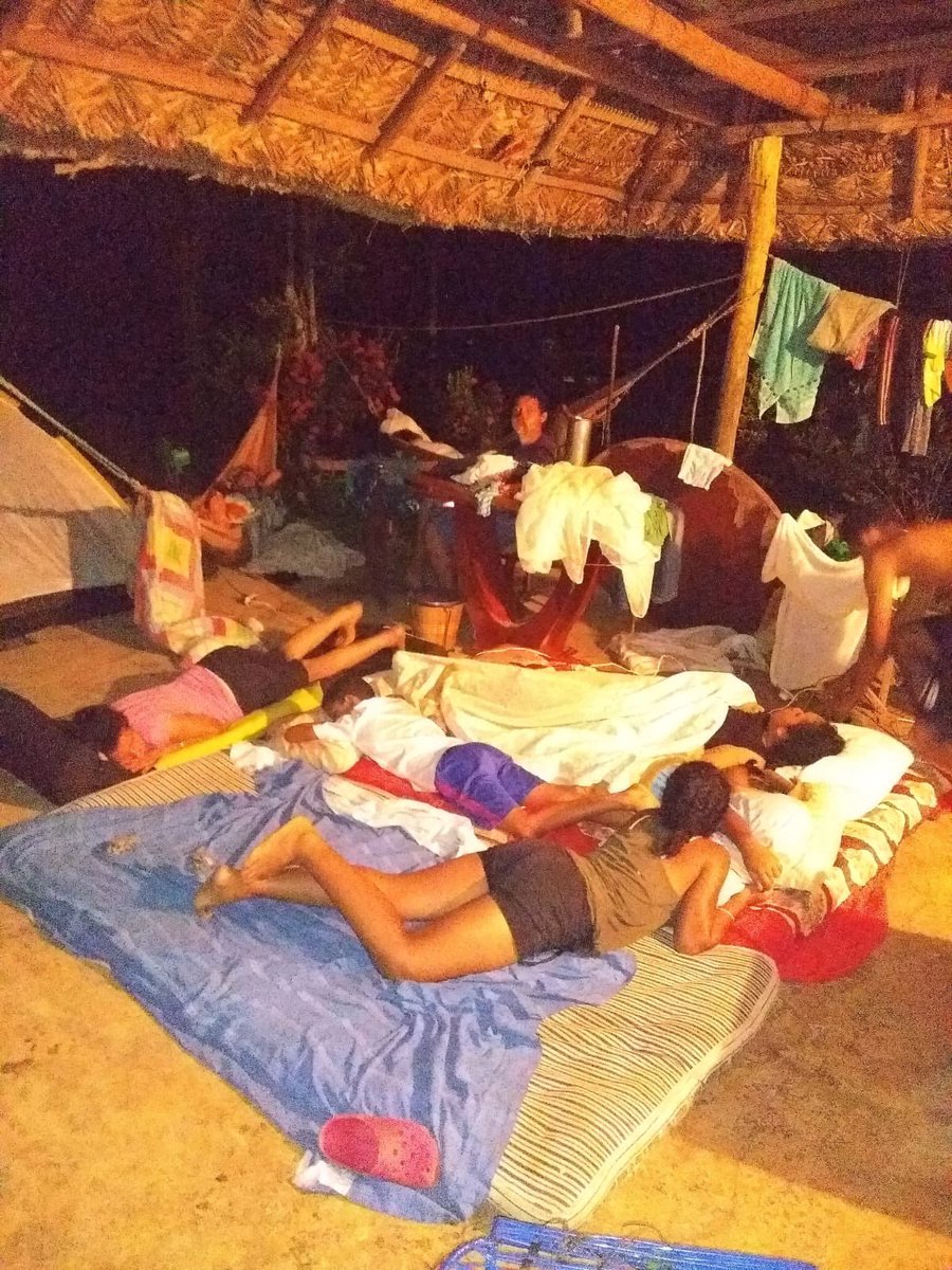 sathinkerbell's tweet photo. Veces en las que mi abuela dijo: “todo eso es paseo”

Cuando fuimos toda la familia a la finca y apareció una culebra de 2 metros en la palma del techo a media noche, entonces todos dormimos afuera, pero todo eso “era paseo” https://t.co/Frw4ybYXAl