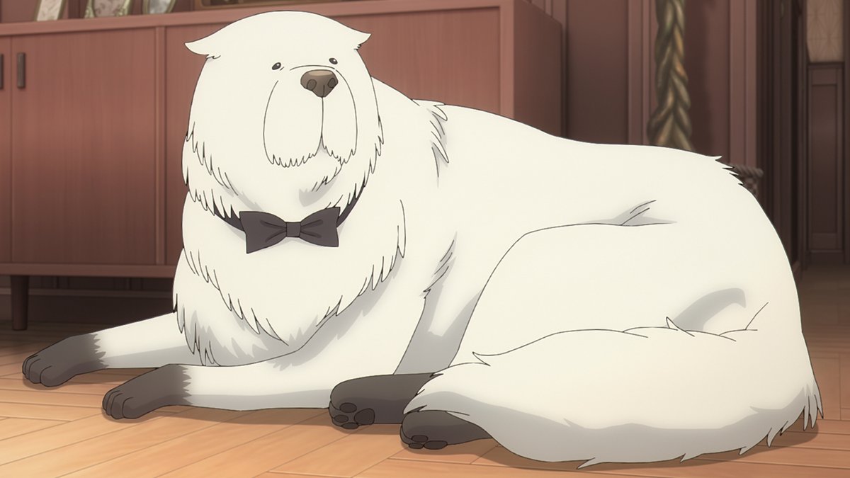 spyfamily_anime's tweet photo. ／

　ANIME EXTRA MISSION Ⅱ
　チケット優先販売申込受付中🎟️

＼

チケット優先販売申込券は、
BD&amp;DVD Vol.2に封入✨

イベントは11月8日(日)開催です‼️

詳細はこちら🔽
https://t.co/cZuODpcJv5

#SPY_FAMILY
#スパイファミリー https://t.co/4o8RADNzMT