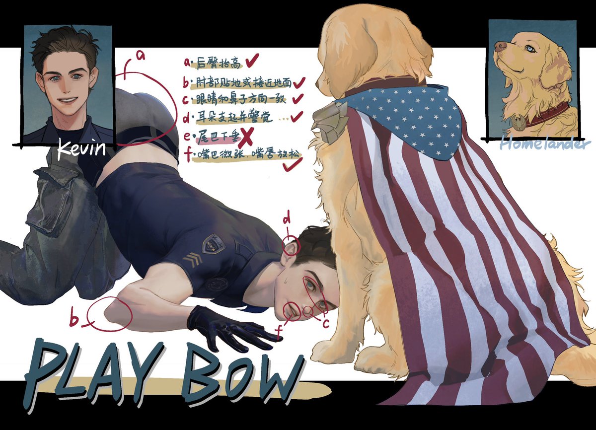 SpicE_S_'s tweet photo. 我真的画过很多怪东西…
总之我发现中国的警校警犬专业会发小狗，而作为警校的学生，毕业时你会根据你小狗的表现决定最终去什么部门。
所以设定基本是Kevin养大了Homelander这只小金毛，虽然他不算多优秀的学生，可是他有一只很牛逼的超能警犬，而他的训练方式基本上是让狗做主人。
#deeplander https://t.co/MKch5kB8NG