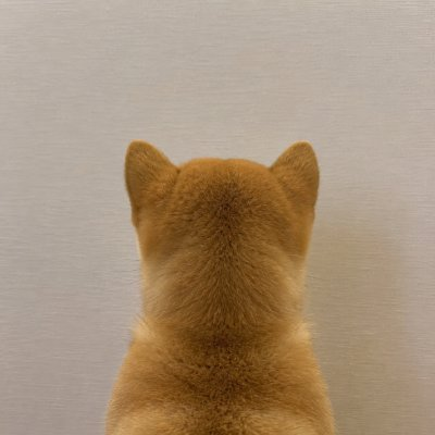 TradeWithItachi's tweet photo. Ansem just gave us confirmation that the trenches are back.

The newest movement has begun....

$back dog

return to tradition.

return to sol

Simple as that https://t.co/6zlxx2abnx
