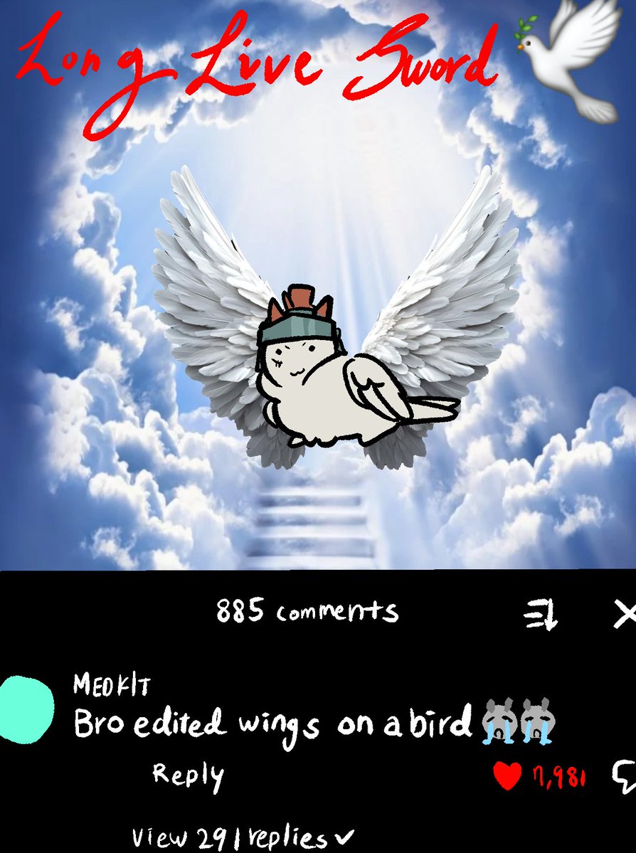버섯 | 상시신뢰컴 tweet media