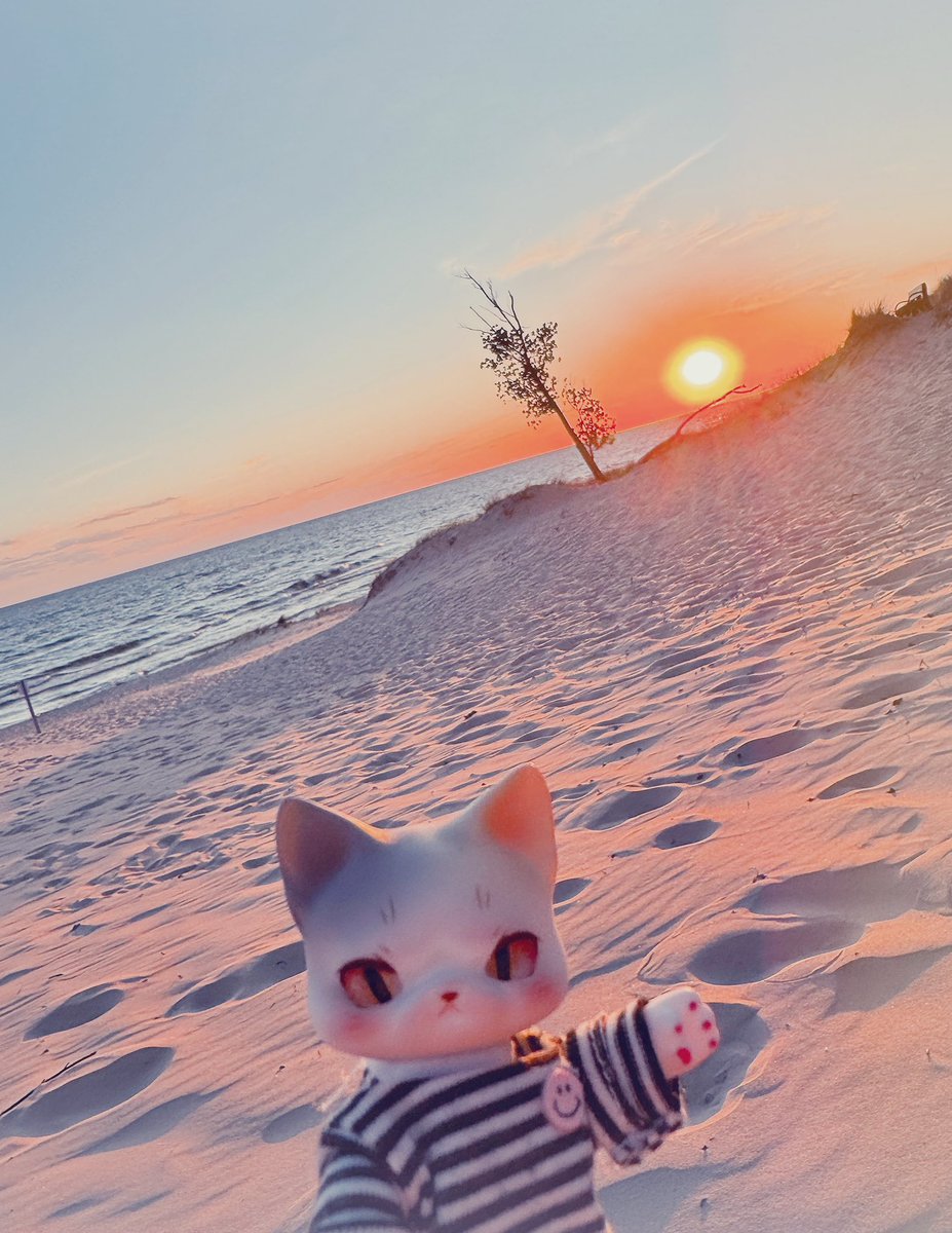 sixlinekenner's tweet photo. went on a little beach hike today to see the sunset https://t.co/AMPAl5qTWJ