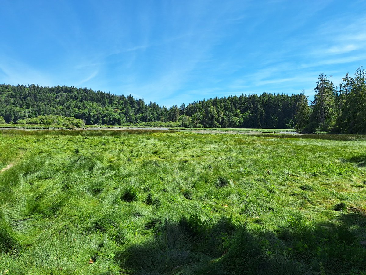 PCSpudican's tweet photo. Mud Bay was still beautiful, #PNW https://t.co/UvqhfrXbkt