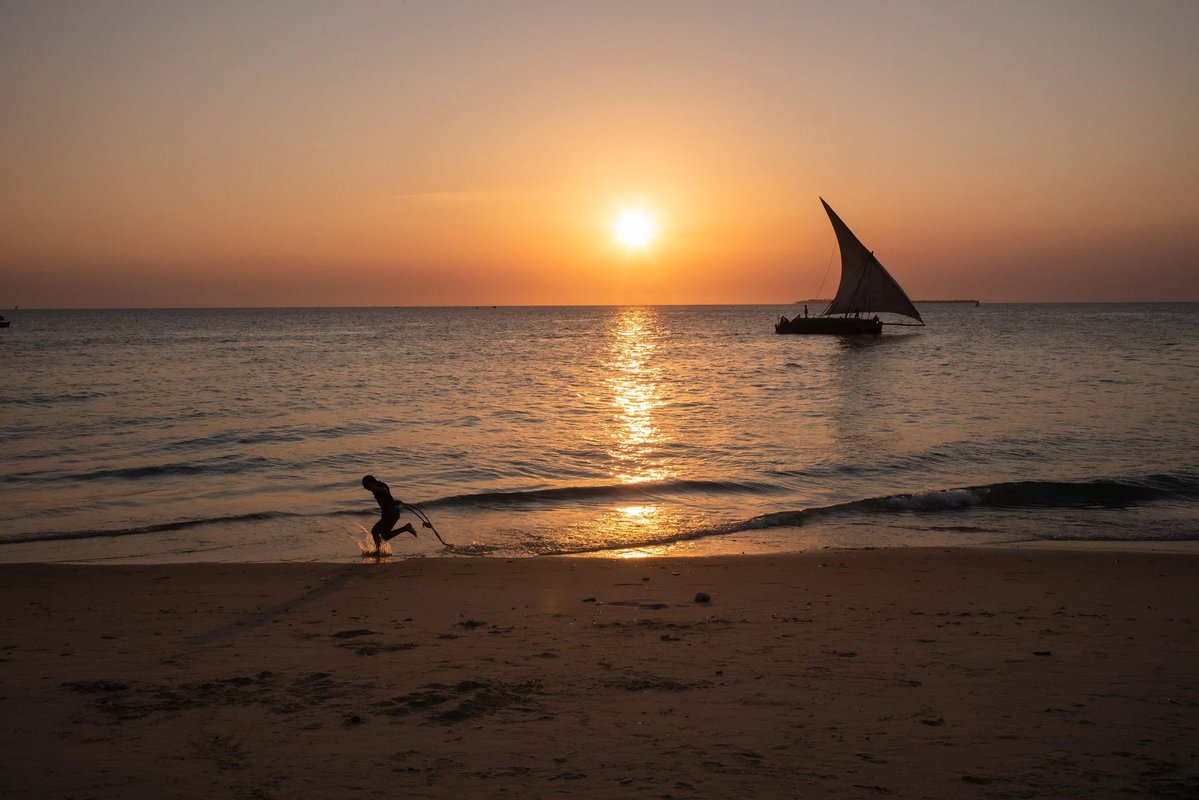 mosquitocoastco's tweet photo. Sunrise in tropical Zanzibar! I have awoken hungover on the beach after dozens of Gin packets I bought on the mazelike streets. These are the lengths I go to supply you, dear customer, with the finest Hawaiian Shirts the world has ever seen! https://t.co/oiCjMkzIER
