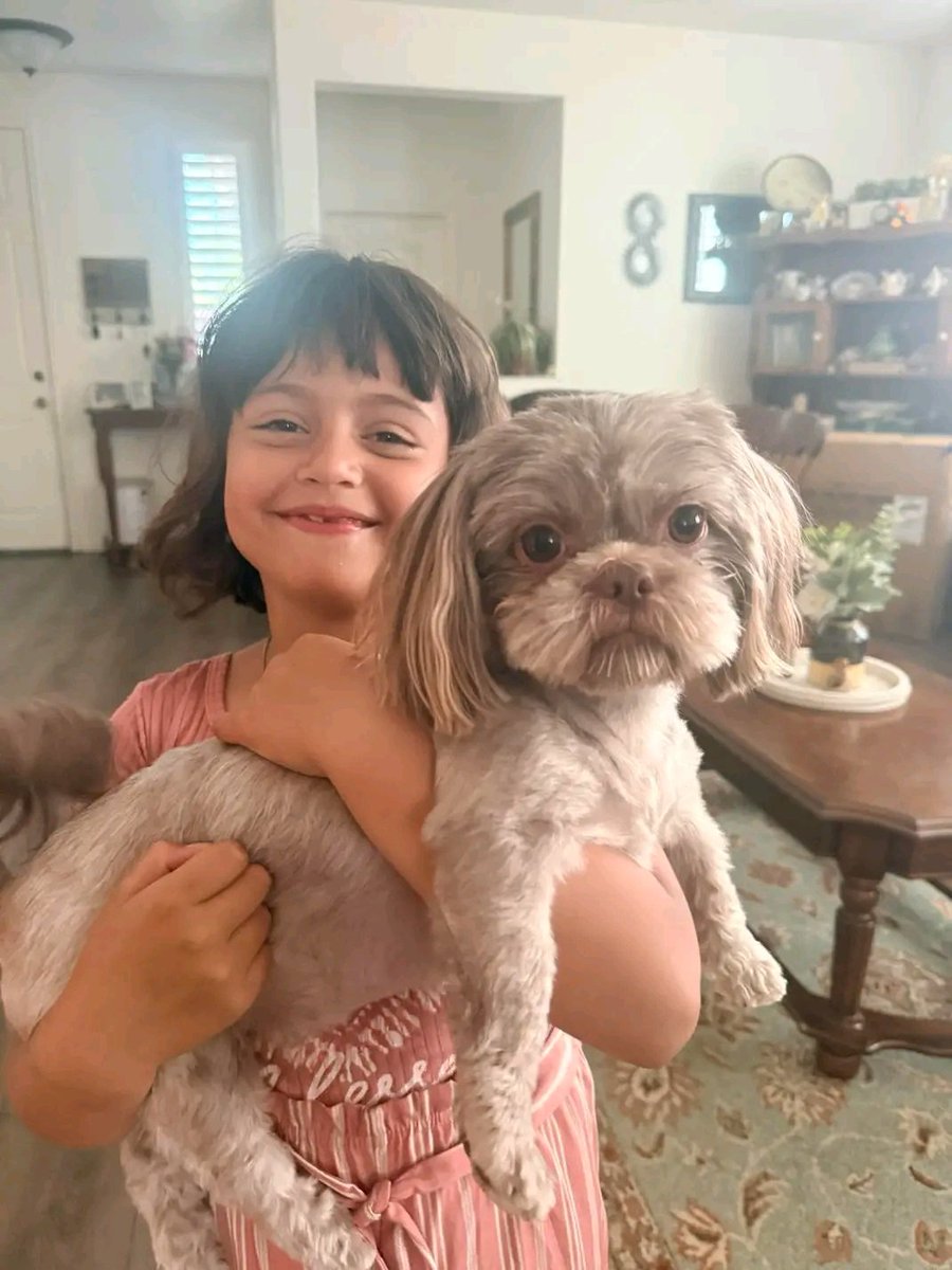 KarenSwanson_'s tweet photo. We found Ellys look alike 🤣🤍 their hair is cut the same haha https://t.co/G9KZWy7vqU