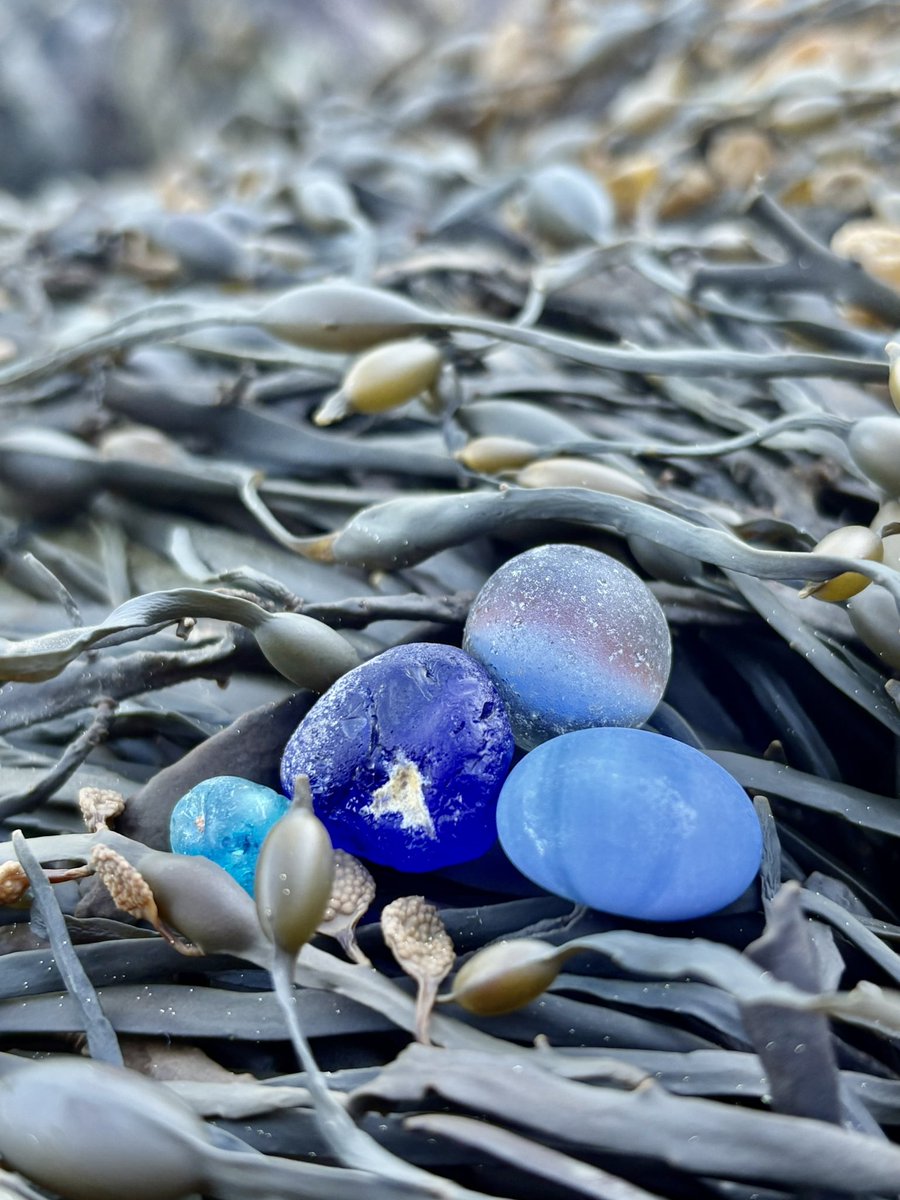 Vanesss_88's tweet photo. Went beach combing with the fam today. Havenβt done it in a few years. Found a few beauties! #Seaglass #beachcombing #Placentia #Newfoundland https://t.co/lQNXCyKuh0
