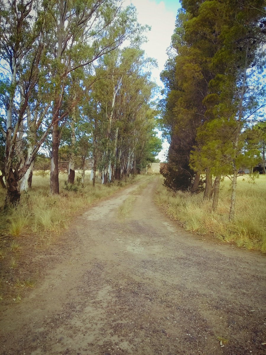 RorRo_Renegado's tweet photo. No es el camino que quería recorrer, ni es el que me tocó. Desgraciadamente, es el que elegí construir, con piedras, desvíos y obstáculos.
#Caminos #LunesDeFotoPropia @correlocacorre https://t.co/gwDPrQwxE4
