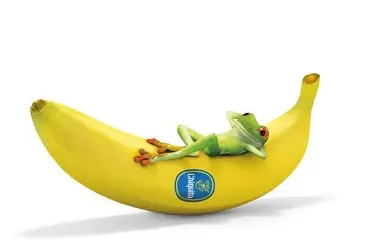 FucknSheeiit's tweet photo. @Cybearspace @BananaFrog 
#BananaFrog lol https://t.co/WPtqu84NxB