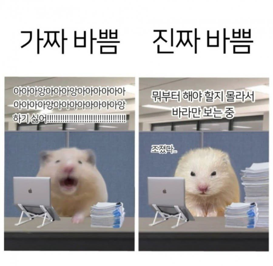 hey_sucheol's tweet photo. ㄹㅇ 진짜 바쁠때는 
넘 막막해서 멍때리고 있음 https://t.co/TveUVnSjqN