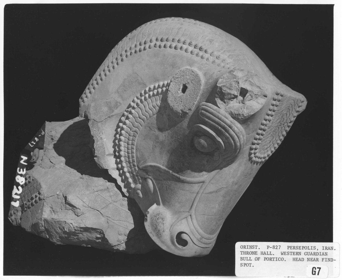 ISAC_UChicago's tweet photo. This week we're looking at sculpture in the ISAC Museum! While we often think of sculpture as being from a single piece of stone, as we can see from these bull ears from the site of Persepolis in Iran, that is not necessarily the case. Instead of the bull being carved from a https://t.co/kFRWjI2AMt