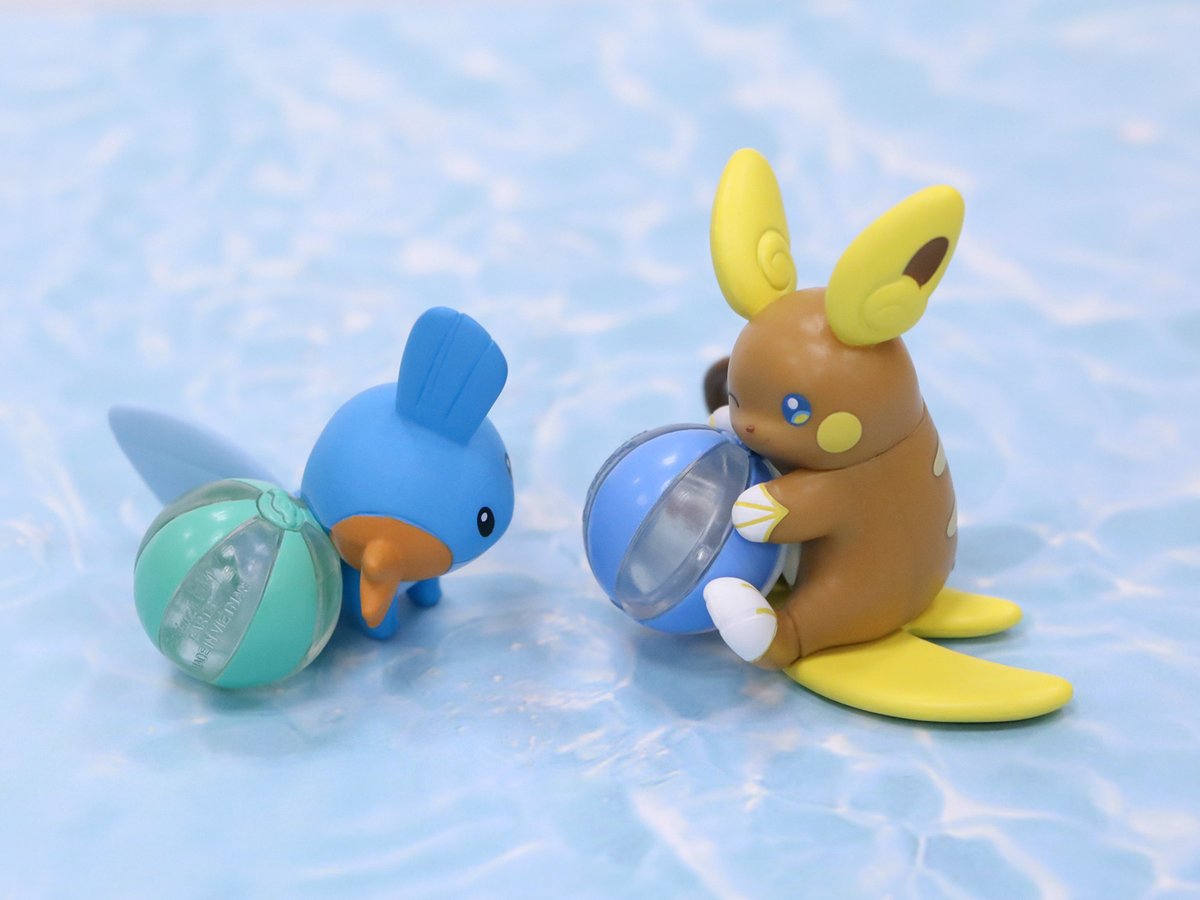 ポケモンだいすきクラブ編集部【公式】 tweet media
