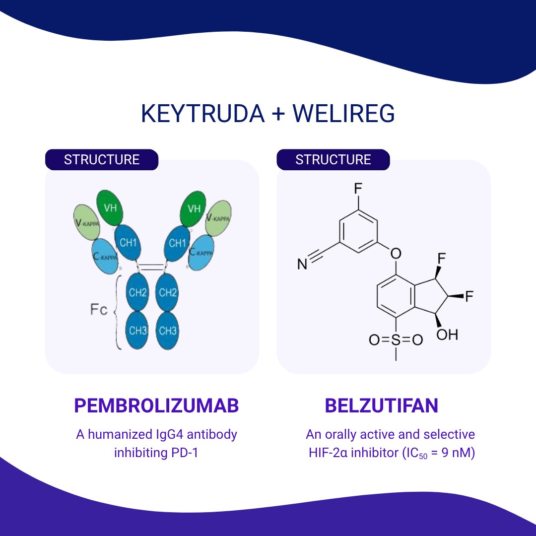 MedChemExpress's tweet photo. 💊#FDAApproval Update | The #FDA has approved #KEYTRUDA (#pembrolizumab) in combination with #WELIREG (#belzutifan) for the adjuvant treatment of patients with clear cell renal cell carcinoma (#ccRCC) at intermediate-high or high risk of recurrence following surgery.
💡The combination pairs PD-1 blockade with HIF-2α inhibition, targeting both anti-tumor immunity and a key driver of tumor hypoxia biology.
📊Phase 3 LITESPARK-022:
🔹Significant improvement in disease-free survival (DFS)
🔹28% reduction in the risk of recurrence or death vs pembrolizumab alone
🔹First approved adjuvant regimen combining a checkpoint inhibitor with a #HIF2α inhibitor in #RCC
#RenalCellCarcinoma #Oncology #CancerResearch #PharmaNews #MedicinalChemistry