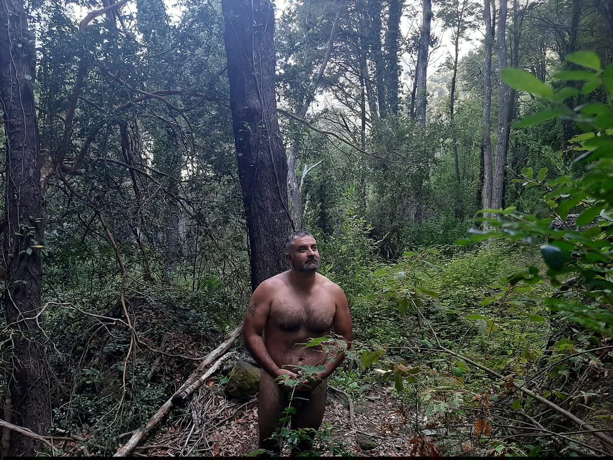 belmarconce's tweet photo. En busca de mi Eva #desnudobosque #viral #belmarconce #maduro #hombremaduro https://t.co/4I4aIP1X5y