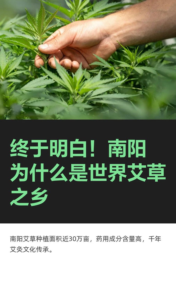 NanyangWhere's tweet photo. ＃发现宝藏南阳 #来南阳把艾带回家 #医圣故里大美南阳 https://t.co/Uy4g1TWo5A