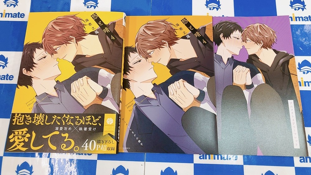 BL 特典　アニメイト他　リーフレット/小冊子 📚書籍入荷情報📚】 『#悠と晴(4)』が入荷しましたはんなり