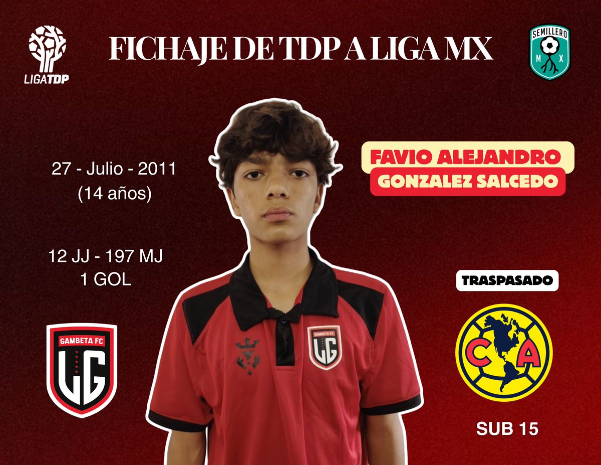 MxSemillero's tweet photo. SUBE UN ESCALÓN ⚽🫵🏻
Favio González, quién jugó para @Gambeta_Oficial TDP ha sido llamado al Club América Fuerzas Básicas 🦅
Categoría 2011 que buscará hacerse de un lugar desde #LigaTDP hacía #LigaMX 🇲🇽 https://t.co/L4HTIKUgmx