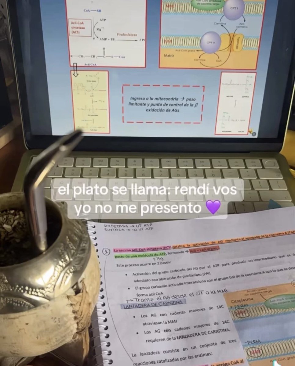 Faculo tweet media