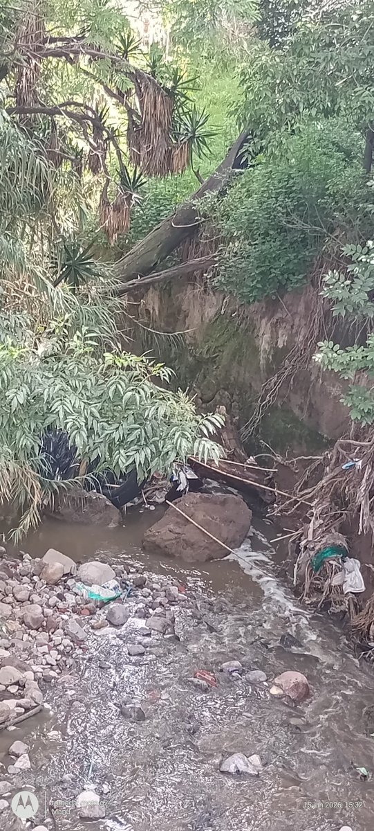 emmanuelp58's tweet photo. @PCGobPue buena noche. Para reportar este tronco 🪵 que está en el arroyo de la barranca de la colonia Joaquín Colombres, es un tronco atorado y tenemos el riesgo de una inundación. Ojalá den seguimiento las autoridades. https://t.co/TAiloZkrbQ
