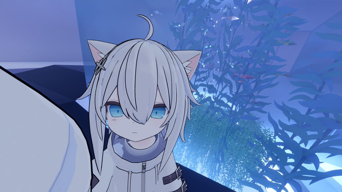 futikokko's tweet photo. https://t.co/hu4wbPzIUu