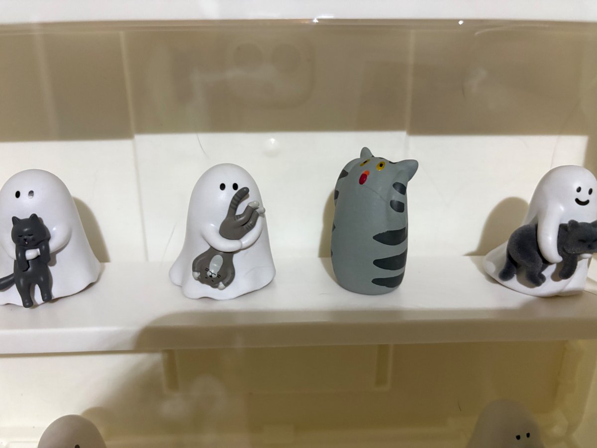 imsuchajoke_'s tweet photo. 幽靈貓貓系列超級可愛😻
我還偷偷放了一個看到幽靈的貓貓 https://t.co/QionofNCPn
