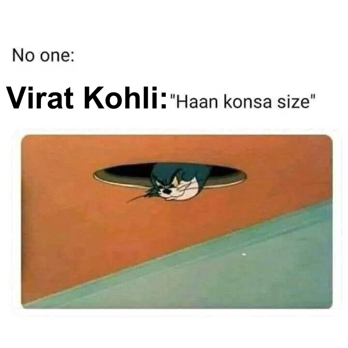 desi sigma tweet media