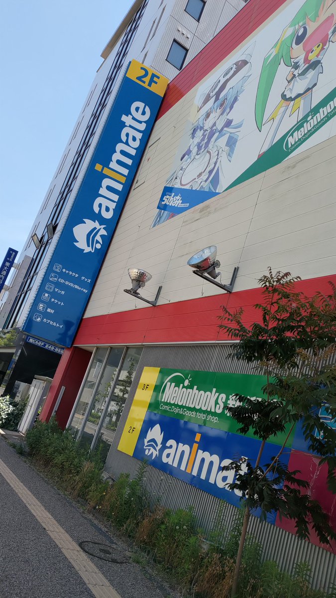 kanamus's tweet photo. 出張で新潟にやってきました！
荷物預けにホテル行ったらアニメイトとメロブがすぐ近くだった https://t.co/s9Zhkku8ha