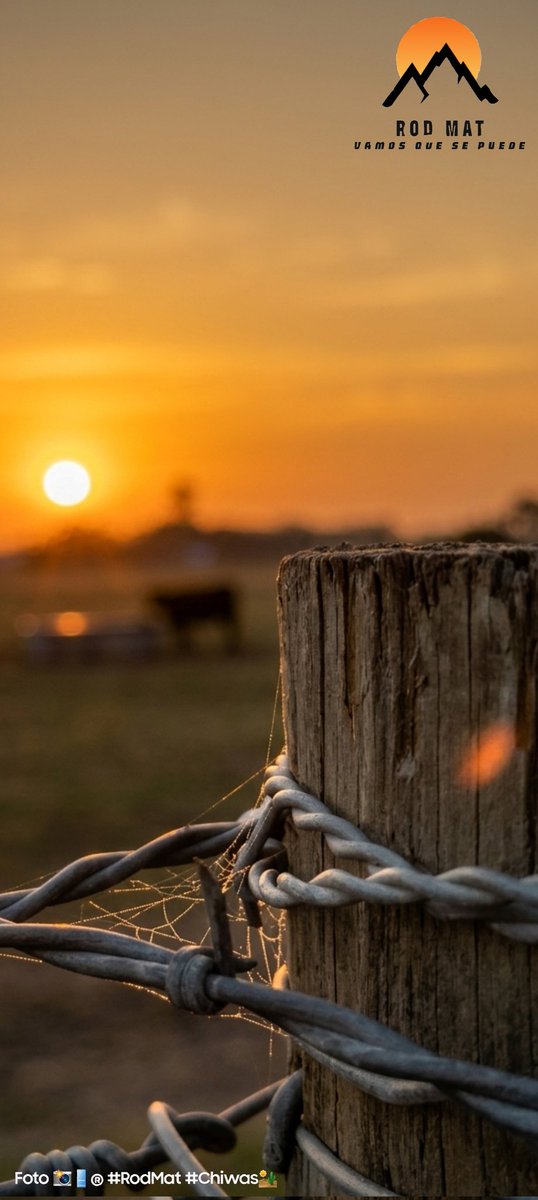 Rod_Mat_'s tweet photo. #Atardeceres
....Y algo mรกs
#BlackAngus
ยกAhChihuahua! https://t.co/KwYiL1azxu