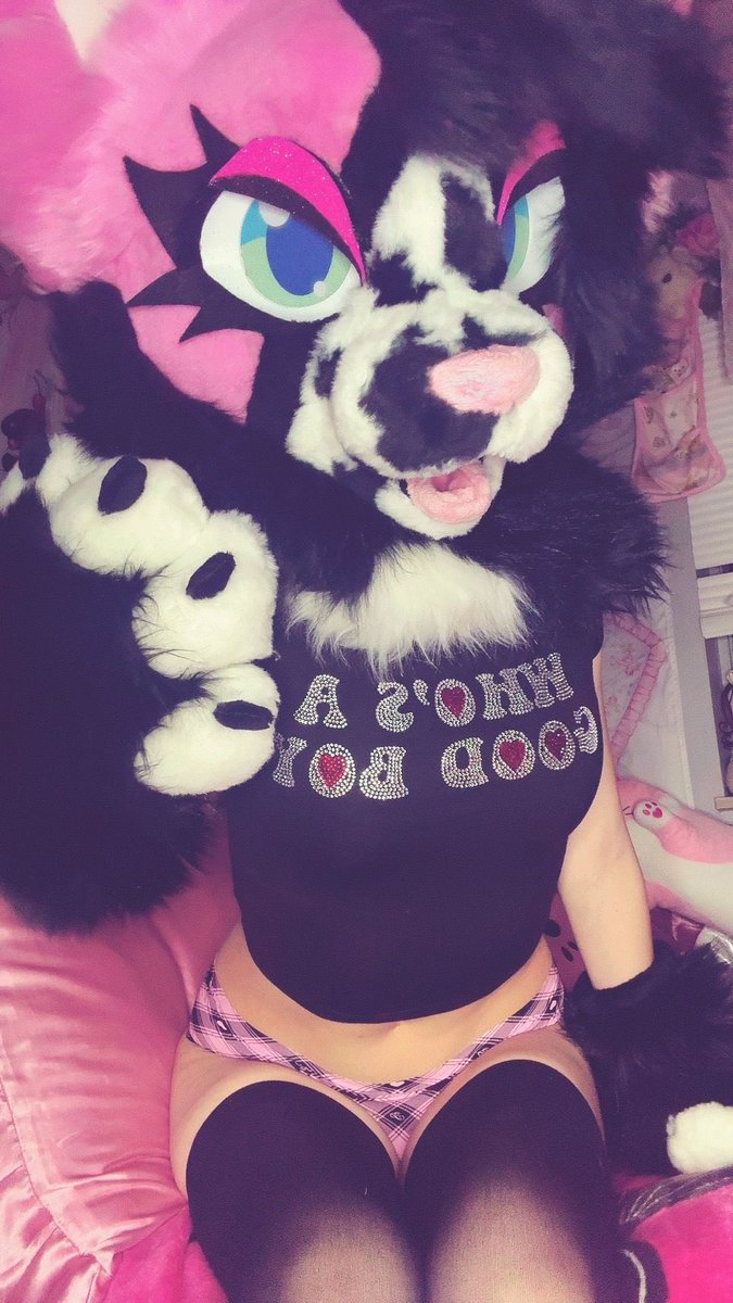 dollymaws's tweet photo. Is it you? #furry

#femfurry #altfurry #adultfur #nsfwfurry #murrsuiter #fursuit #furries https://t.co/DZW4qaCeAk