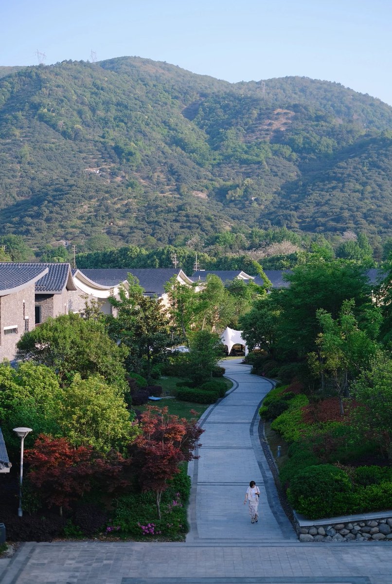 HaoFan46300's tweet photo. Winding stone path leads through rolling green mountains. Fresh open air wraps around you with every peaceful leisurely step ๐ถโฐ๏ธ #Ningbo #Cixi #MountainEscape https://t.co/7QF6XKXCme