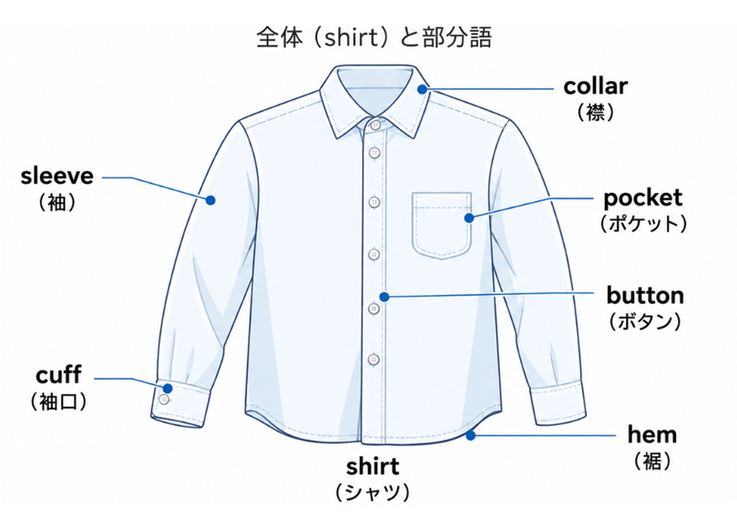 pragmasemantics's tweet photo. 【意味のネットワーク】shirt（シャツ）を知っていても、シャツの「部分」（襟、袖口、裾など）を英語で言えるでしょうか。

shirtのまわりには、collar（襟）、sleeve（袖）、cuff（袖口）、button（ボタン）、hem（裾）、pocket（ポケット）のような部分語があります。

こうした「全体」と「部分」の関係を見ると、語彙はバラバラではなく、意味のネットワークとして整理できます。shirtという身近な語でも、collar, cuff, hem あたりは、自分では出てきにくい語かもしれません。

単語を増やすには、shirt=シャツで止まらず、「その一部を何と呼ぶか」まで広げて覚えると効果的です（画像はChatGPTで生成）。