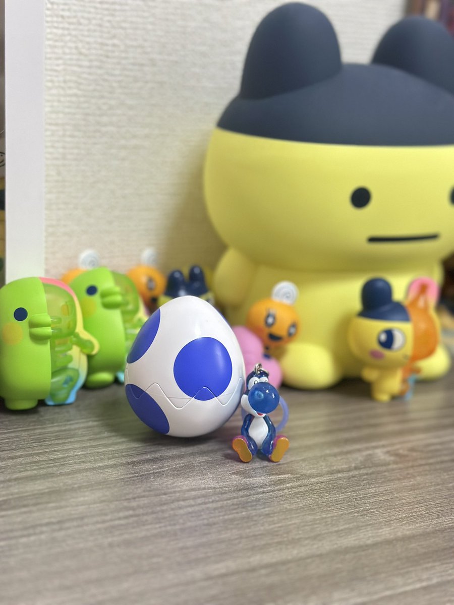 _gabchyo's tweet photo. たまごっちとかめじるし大好きで頑張って集めてる！！ https://t.co/qswDk3X1iF