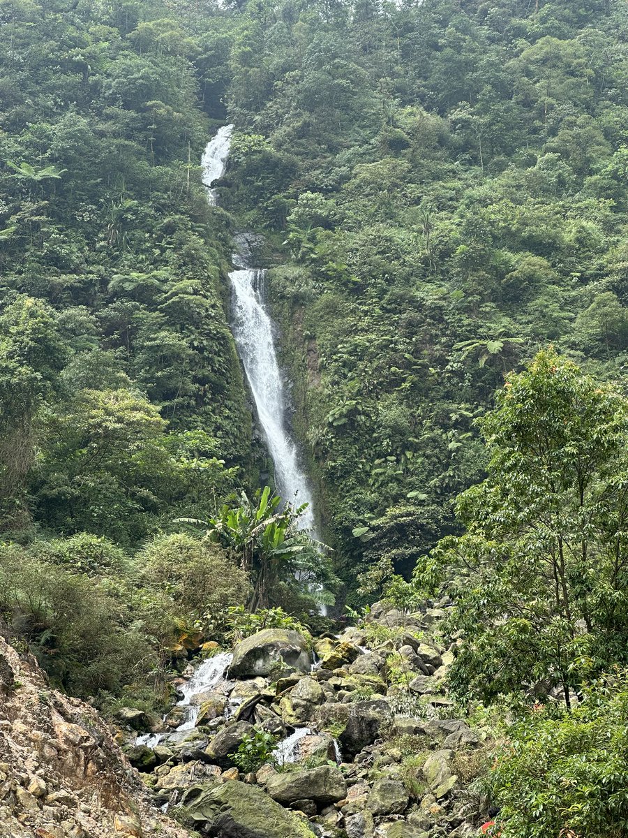 eskanisa's tweet photo. 🍃⛰️🌊🌴 https://t.co/3vKGa0NSMR
