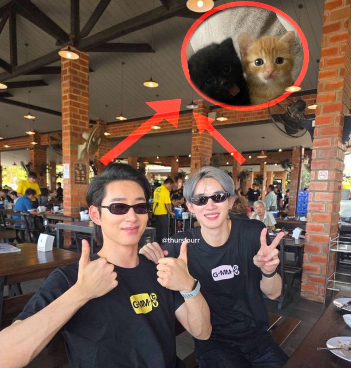 yaoilushs's tweet photo. DANG TWO KITTIES https://t.co/zwgicxzjQf