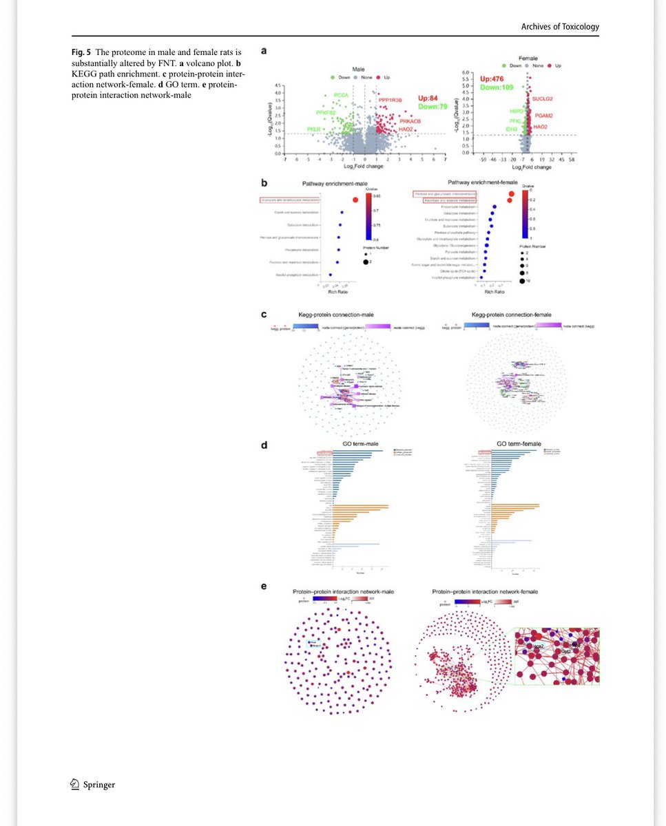 ES_Okeke's tweet photo. New paper alert 🔔 
Journal: Archives of Toxicology (IF:6.9) Springer Nature 

Title: Fenitrothion induces sex-specific glucose metabolism dysregulation in rats by targeting PK/glycolysis in males and IDH3/TCA cycle in females

FullText:  https://t.co/KwqBJVgk4b https://t.co/VbtyAm7kMe