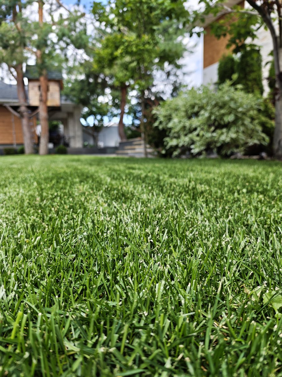 maxonchainx's tweet photo. Freshly cut grass
Smth special to watch and smell https://t.co/KGAaybdYXR