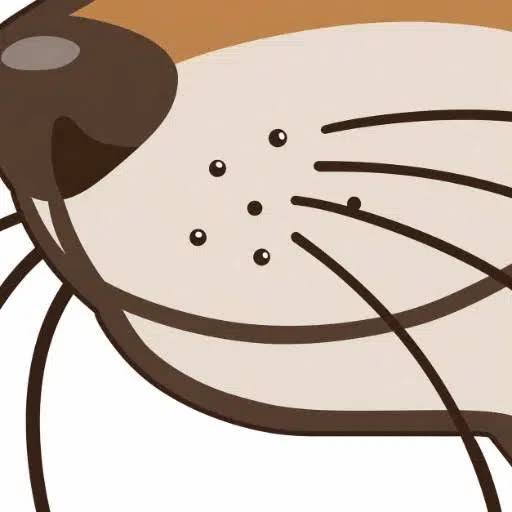 The Dog Project tweet media