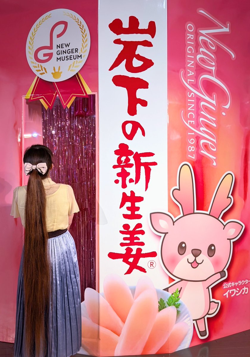 miaka360's tweet photo. 岩下の新生姜ミュージアムに行ってきました〜♪
館内全てが、ピンクワールドでした🩷
#新生姜ミュージアム
#スーパーロングヘア
#ロングヘア
#ポニーテール
#Superlonghair
#Longhair https://t.co/csxW812zMl