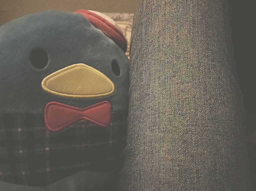 edstvr's tweet photo. hi leg bc https://t.co/Hdgg0Yr9JJ