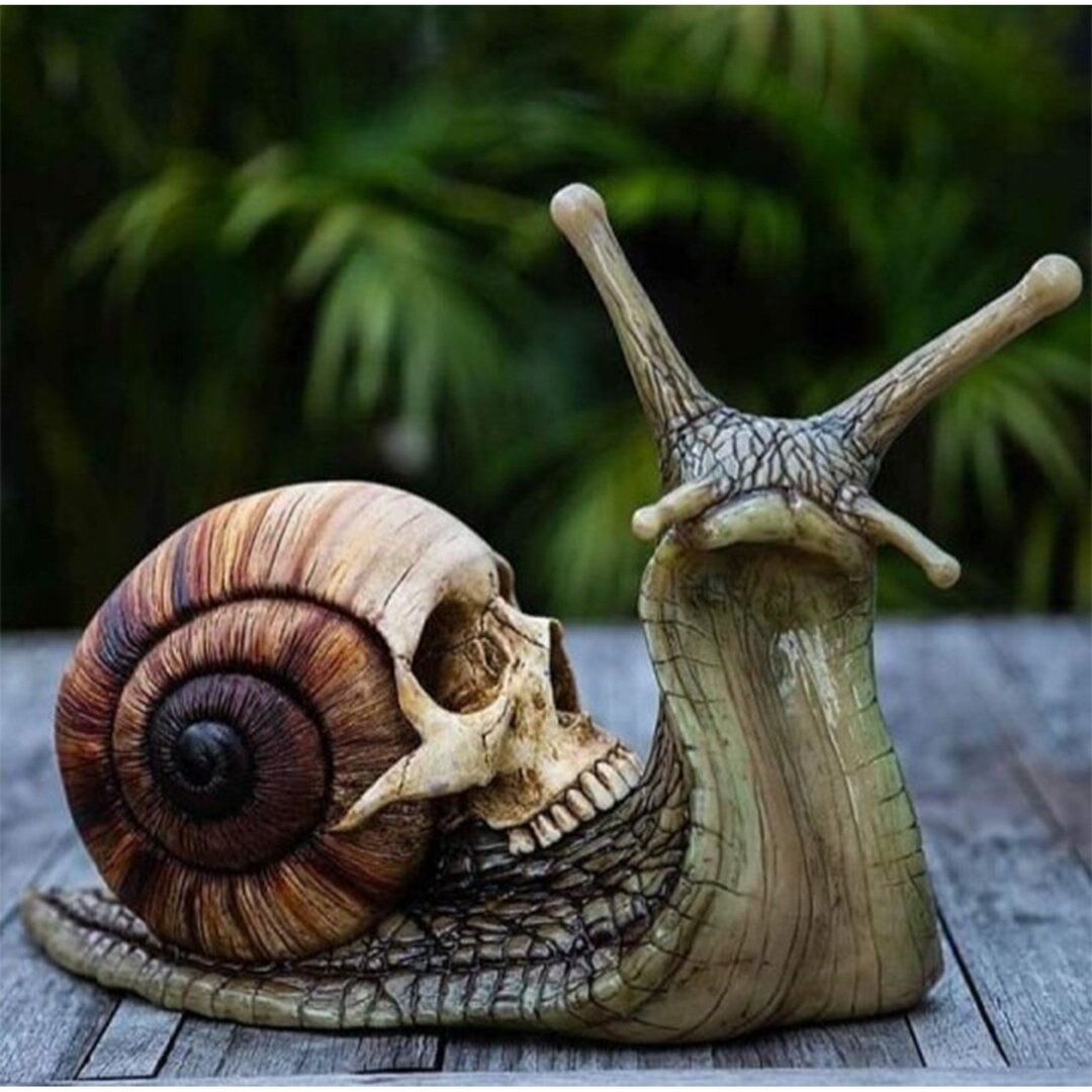UnicunShop's tweet photo. Stop settling for ordinary decor. Elevate your space with a bold statement piece that sparks curiosity and reflects your unique edge. Perfect for those who dare to be different. 🐌💀

Get yours here: https://t.co/7j64uvU4Eb

#GothicDecor #UniqueHome #Oddities #GardenArt https://t.co/SMJD1q0QRi