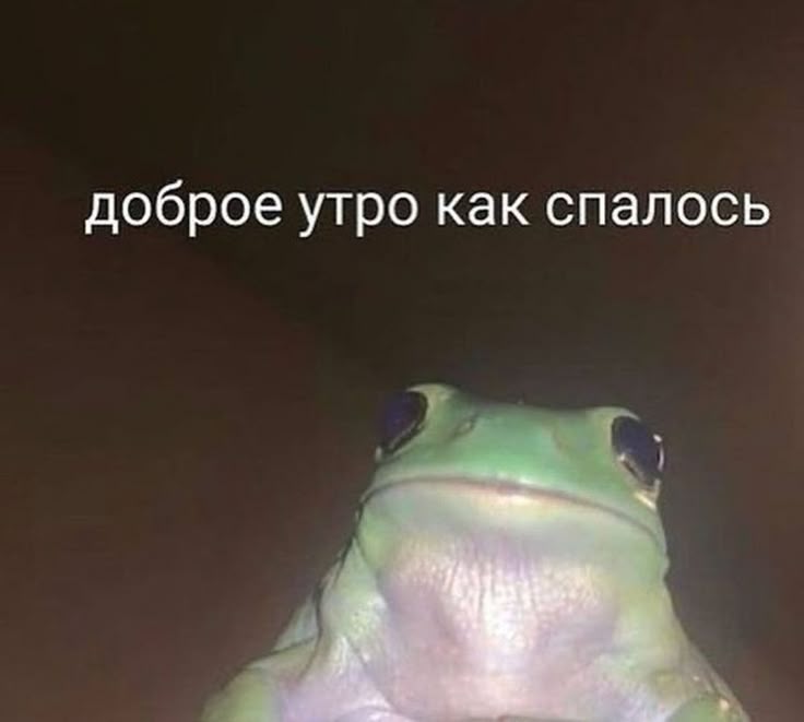 insomnia1819's tweet photo. Как сука душно, я не могу
Я из-за этой хуйни вообще не высыпаюсь. Открываю окно - жужжащие говноеды залетают. Поставила уже рядом с кроватью вентилятор чтоб их сдувало нахуй https://t.co/mWP4DNQ6Gz
