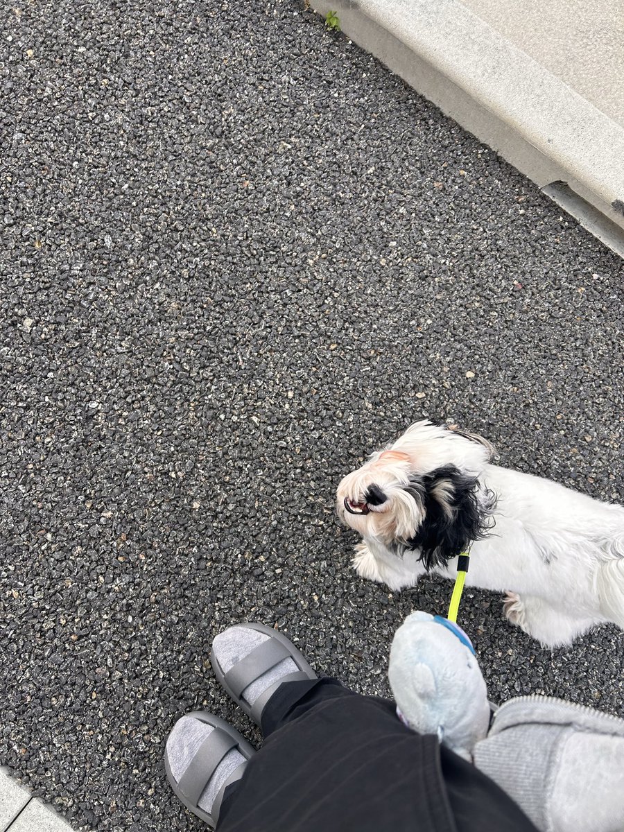 goodboymonta's tweet photo. 呟くのを忘れていました、もんたですᐡ߹ - ߹ᐡ https://t.co/H74TNRRJR6