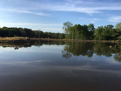 UnlockedAtlas's tweet photo. Today our City by City: The World Unlocked Series continues — City 210 ↓
🏙️ Kennedy, Alabama — A Quiet Lamar County Crossing on the Sipsey River 🌲
Kennedy is a small town located in Lamar County in west-central Alabama, situated near the banks of the Sipsey River close to the Mississippi state line, approximately 25 miles southwest of Winfield and roughly 60 miles west of Tuscaloosa. The town developed in the early 20th century as a rural rail and timber community, growing modestly as the surrounding forests and farmland of Lamar County supported small-scale logging and agricultural trade in this remote corner of the state. Kennedy operates under a mayor-council form of government and remains one of the smaller incorporated towns in Lamar County, holding onto a distinctly rural and self-sufficient character shaped by its distance from any major metropolitan center. Life here is slow and close to the land, with the Sipsey River and the surrounding pine forests forming the backdrop to a community that has remained quiet and largely unchanged for generations.
Today Kennedy is a tiny, tucked-away town of modest homes and wooded countryside where the gentle presence of the Sipsey River adds a peaceful, natural rhythm to daily life.
🔥 Fun Fact: The Sipsey River, which flows near Kennedy, is part of one of the most ecologically significant river systems in Alabama, supporting one of the highest concentrations of freshwater mussel and fish species diversity in North America, making this quiet corner of Lamar County an unexpected hotspot of biological richness.
Population was recorded at approximately 411 in the 2020 U.S. Census, with current estimates ranging between 380 and 440. This town is a hidden find for nature lovers, river explorers, and anyone seeking the deep rural quiet of west Alabama near the Mississippi border.
#Kennedy #CityByCity #AtlasUnlocked #ExploreAlabama #HiddenGemsUSA #SmallTownAmerica #LamarCountyAL #TravelUSA #CityByCitySeries #DiscoverUSA #SipseyRiver #AlabamaLife #WorldUnlocked #TravelFacts #WestAlabama