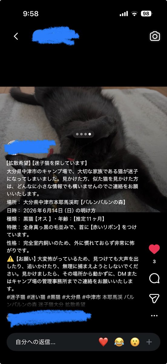 soramaru1111's tweet photo. こちらのポストの迷い猫ですが、無事に保護されたと連絡がありました！
たくさんのご協力ありがとうございました😊
#迷い猫 https://t.co/ArhMtbJPVh