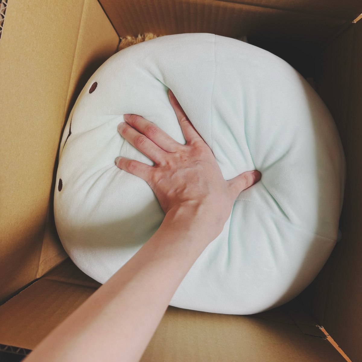 2co_ll's tweet photo. わたしにこ！こっちは詰め込まれる青いまる。 https://t.co/dDifwbYlEe